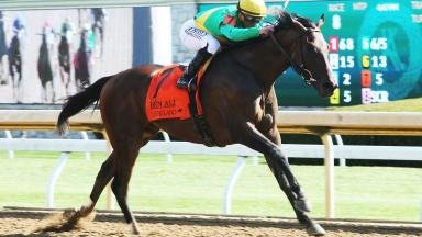 Scalding Keeps Win Streak Red Hot
