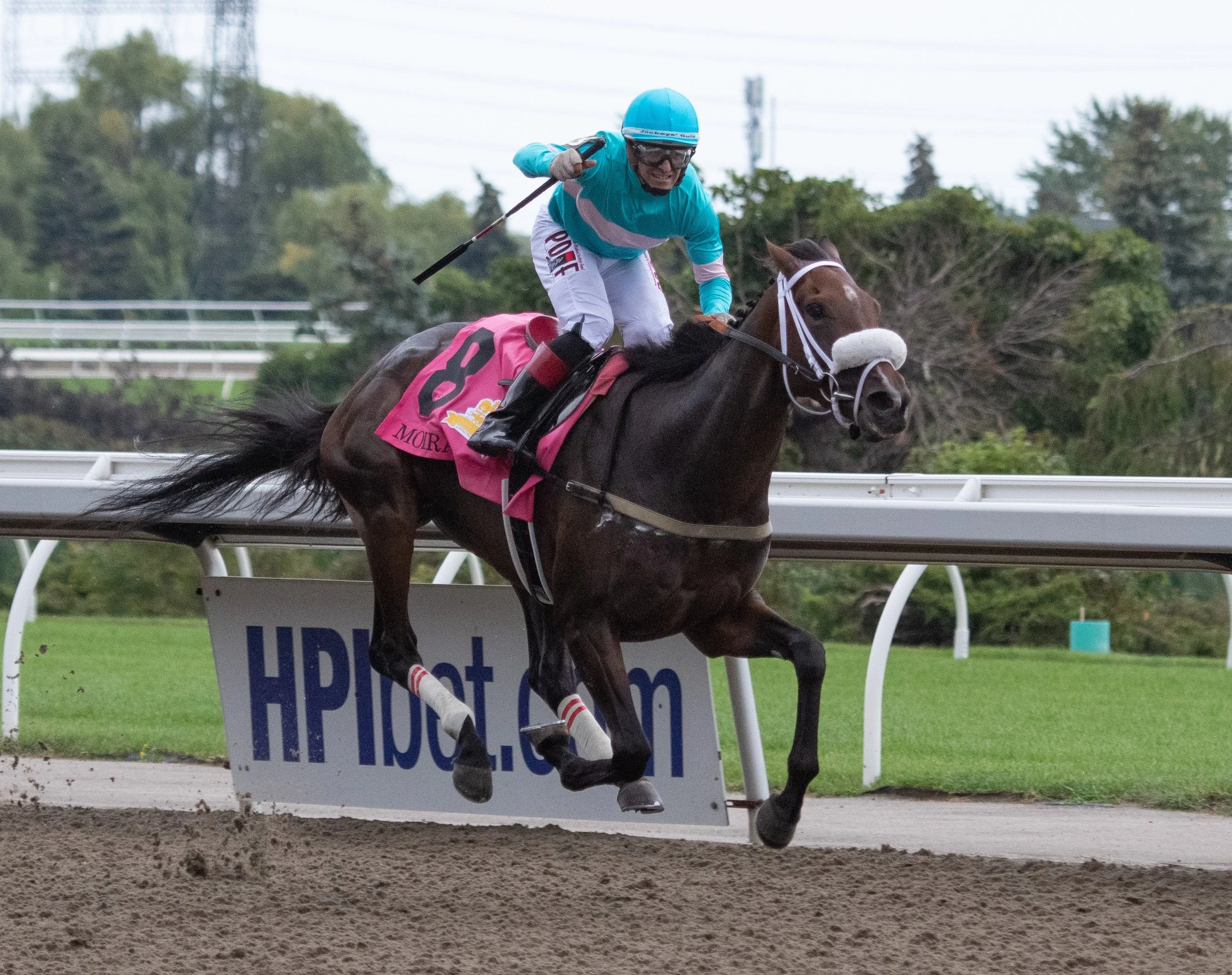 Moira sets track record in Queen's Plate at Woodbine