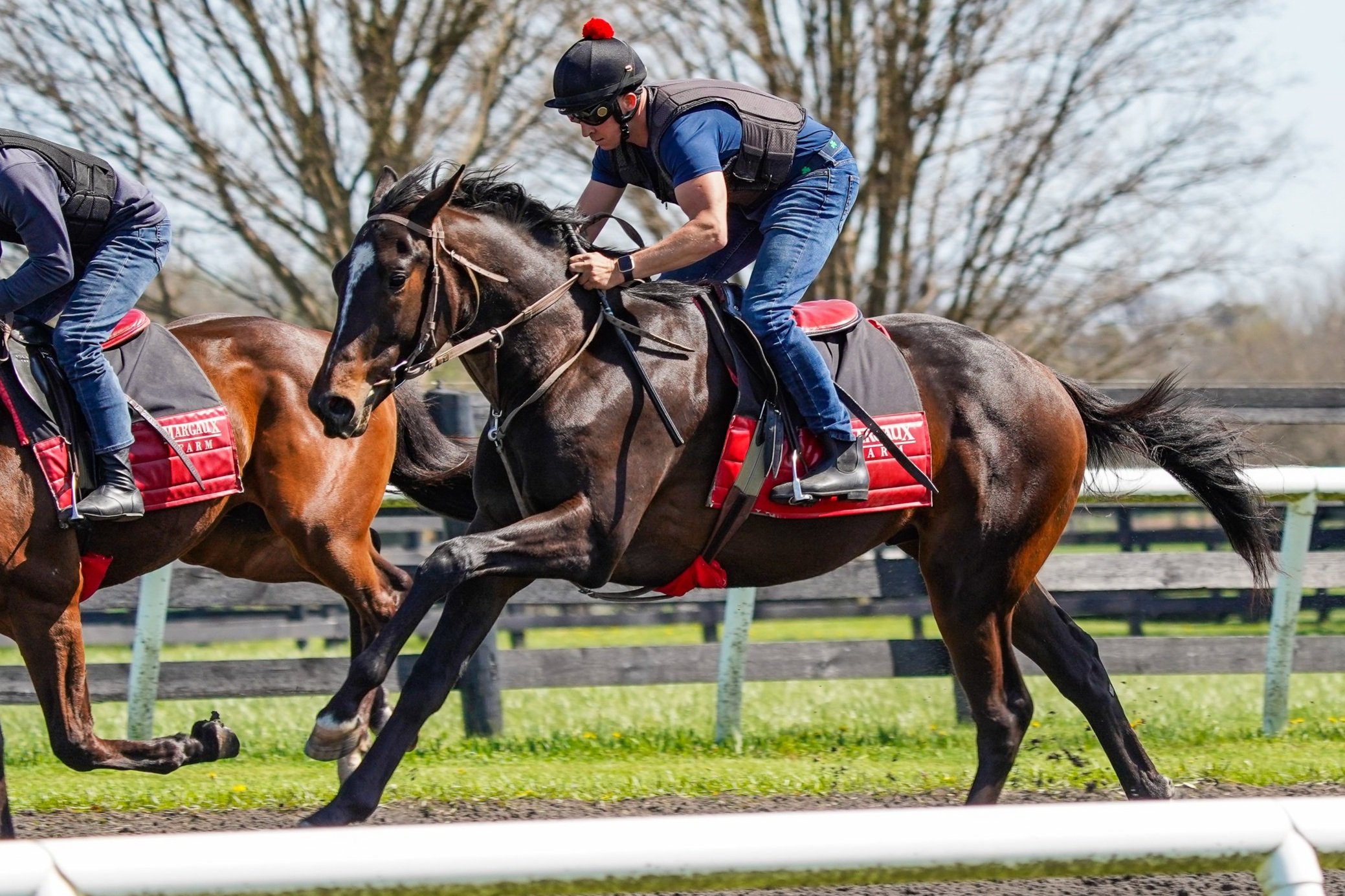Half brother, Emperor's Appeal in training on the farm
