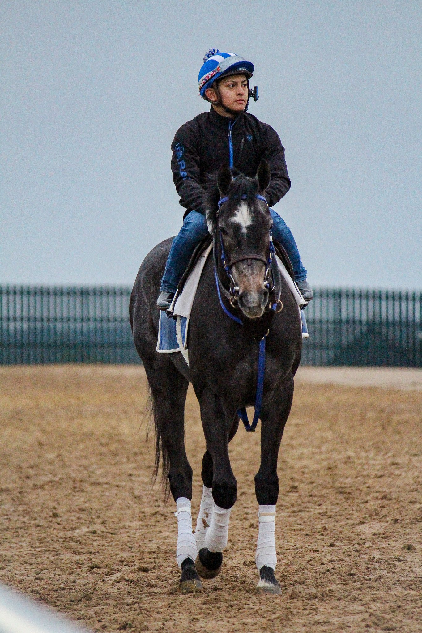 Defining Purpose training at Keeneland the morning before her G1 victory. 