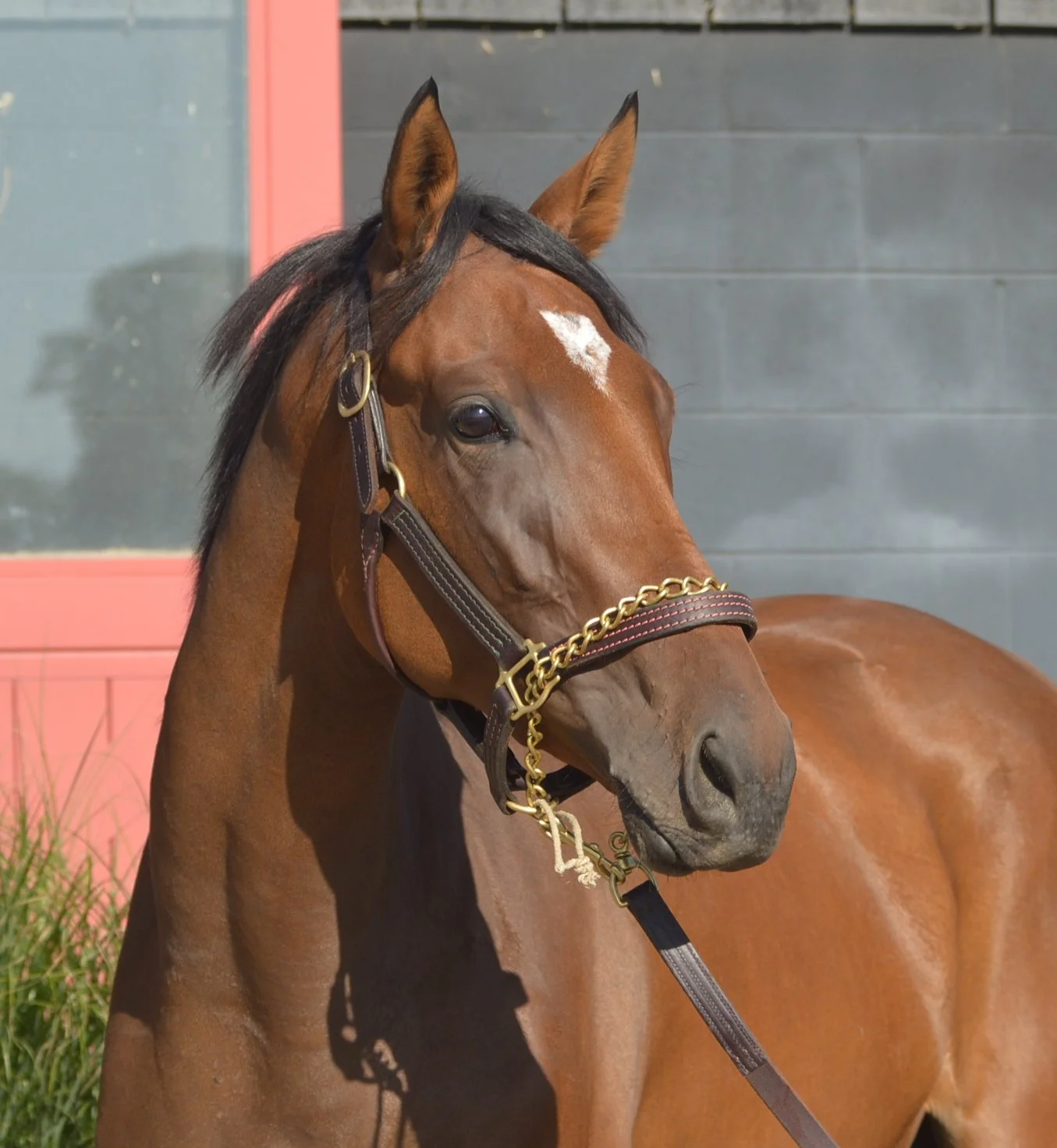 War Like Goddess is victorious for the third time in Keeneland's G3 Bewitch Stakes