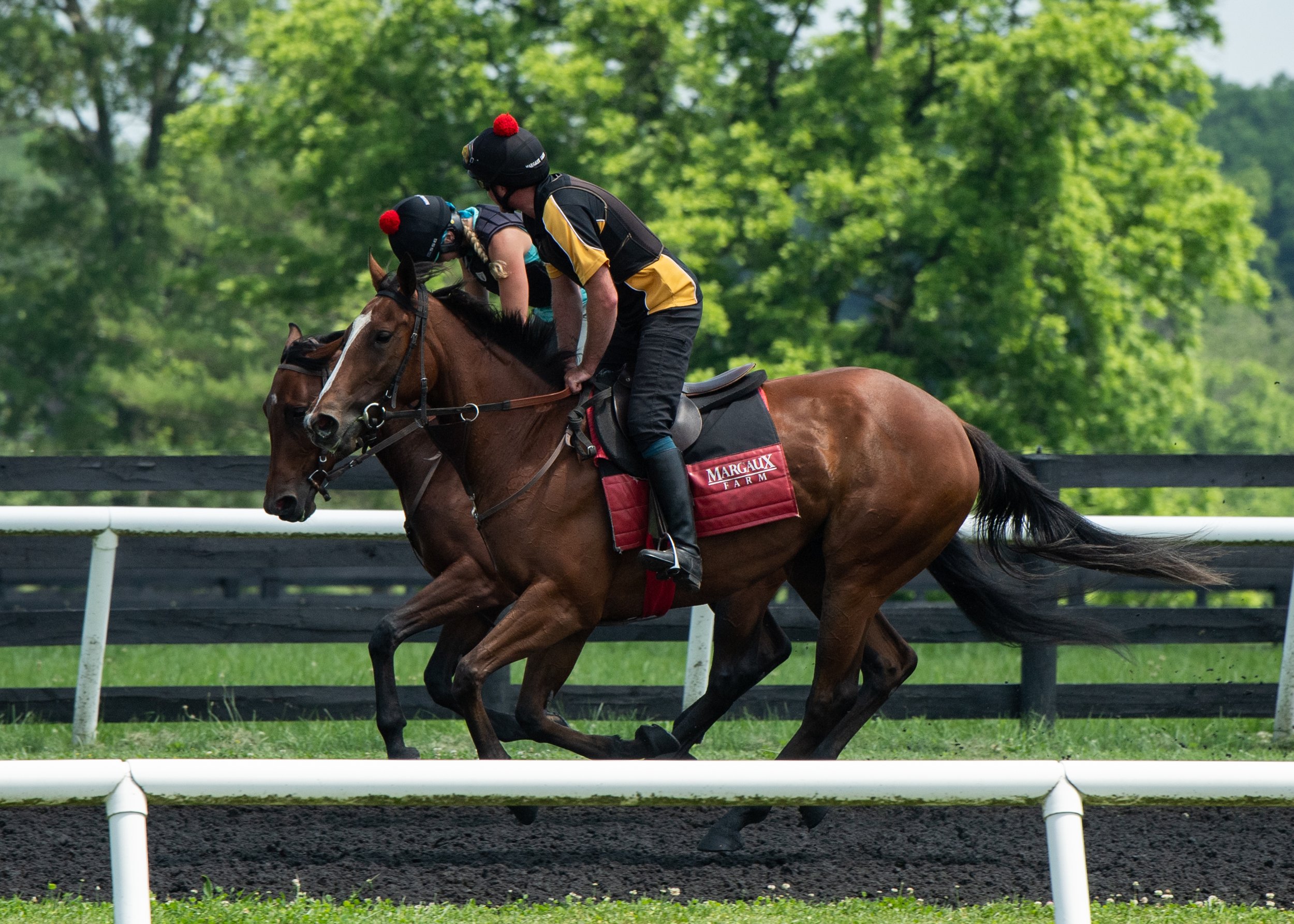 Fast as Flight in training at the farm.