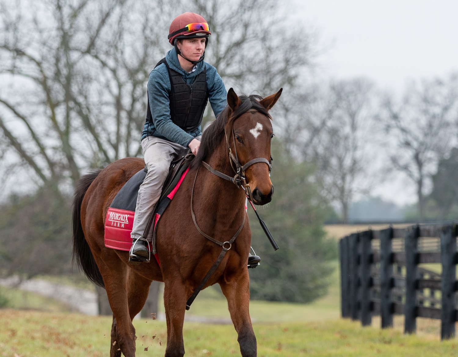 Just FYI training at Margaux Farm