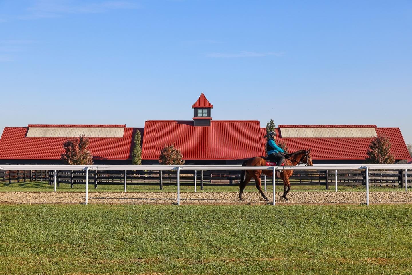 Happy Wednesday 🍁

#margauxfarm #training #kentucky #horsesofinstagram #thoroughbred