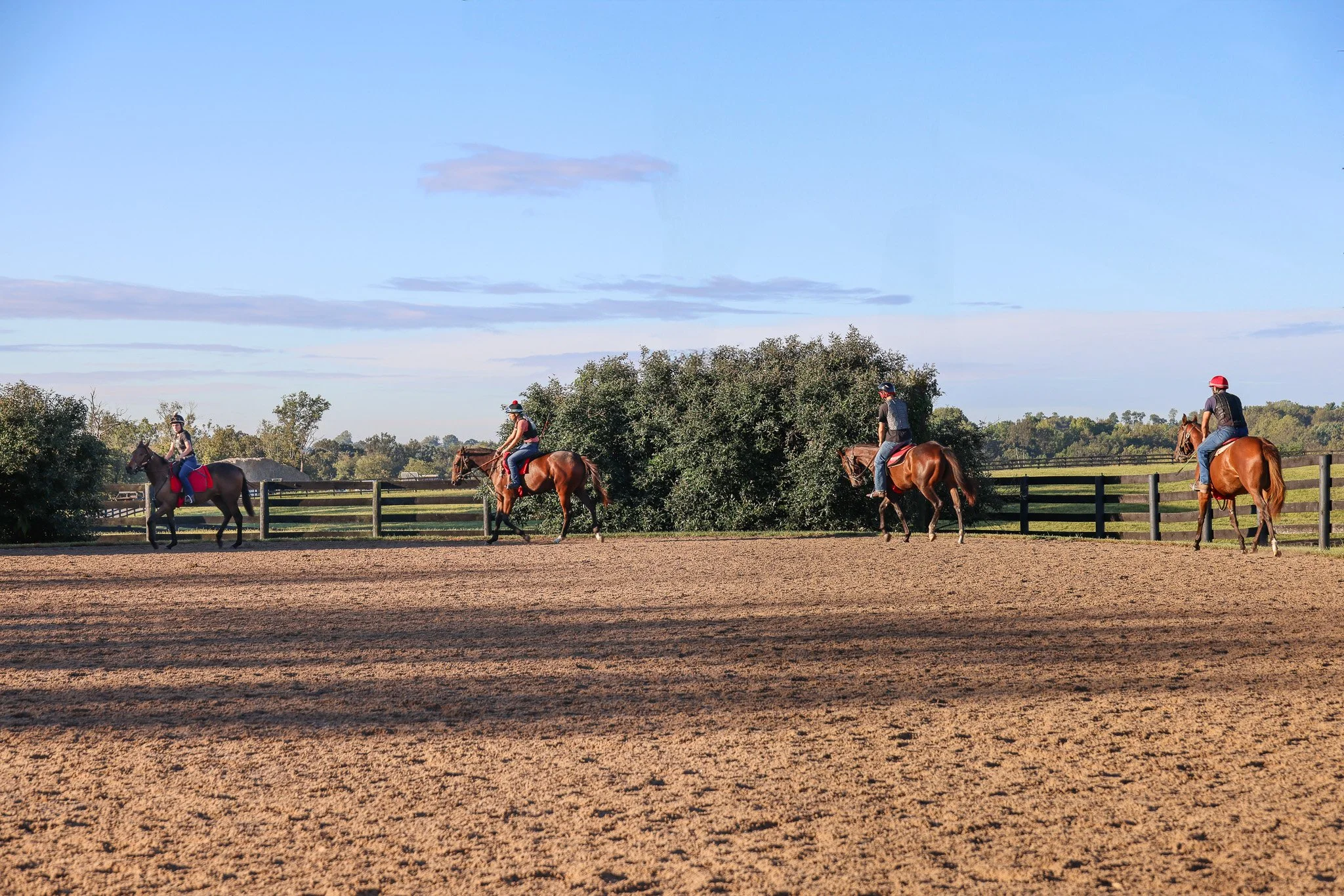 Breaking - Arena.jpg