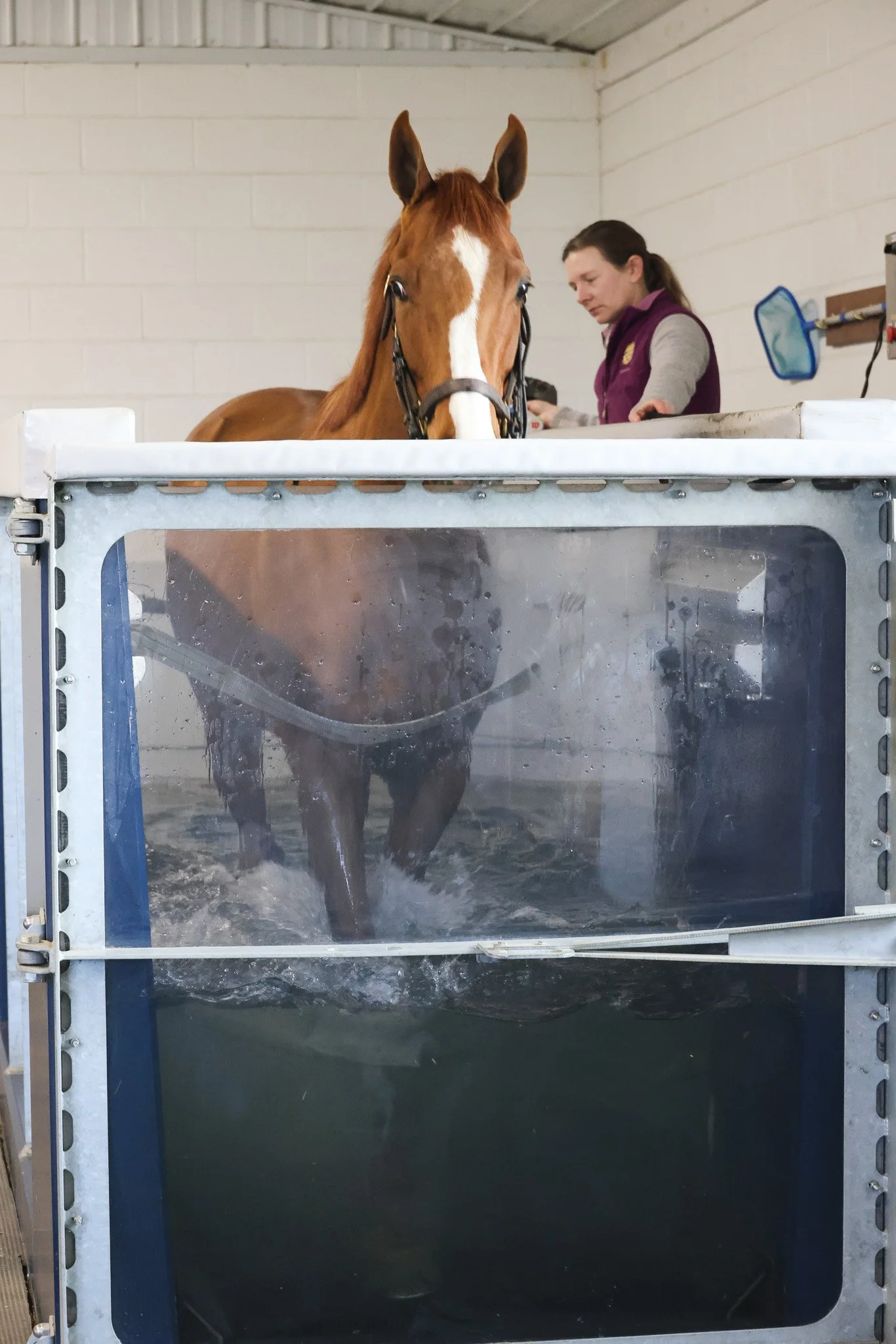 Being Myself Aquatred 3.11.25.jpg