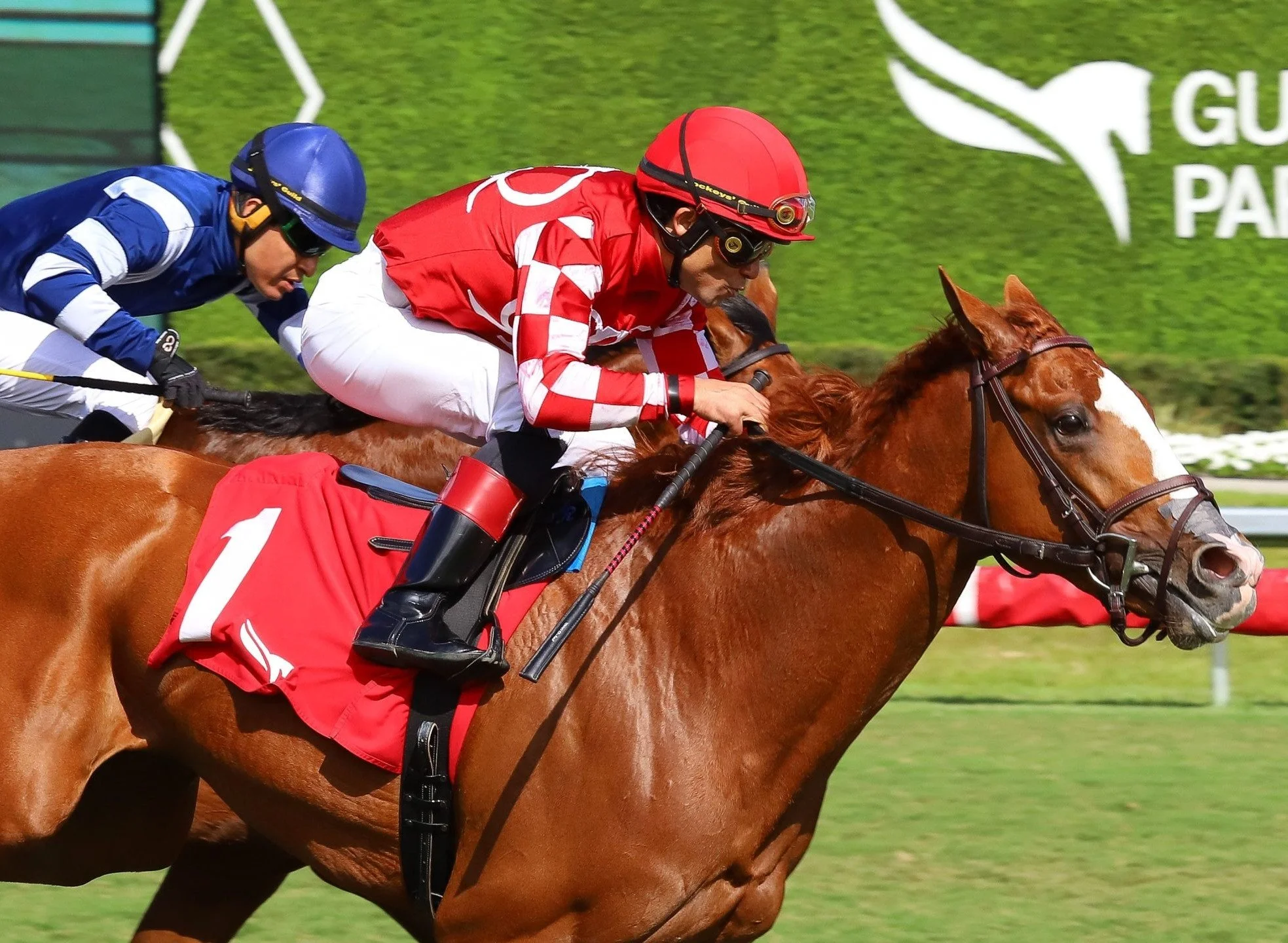 Fancy Sailor breaks his maiden in thrilling fashion! 🐎✨

The 3 YO son of Justify is a Margaux Farm foaling, breaking and training graduate, bred and raced by Raroma Stable and trained by Brian A. Lynch.

➡️ Swipe to see him transform from foal to ra