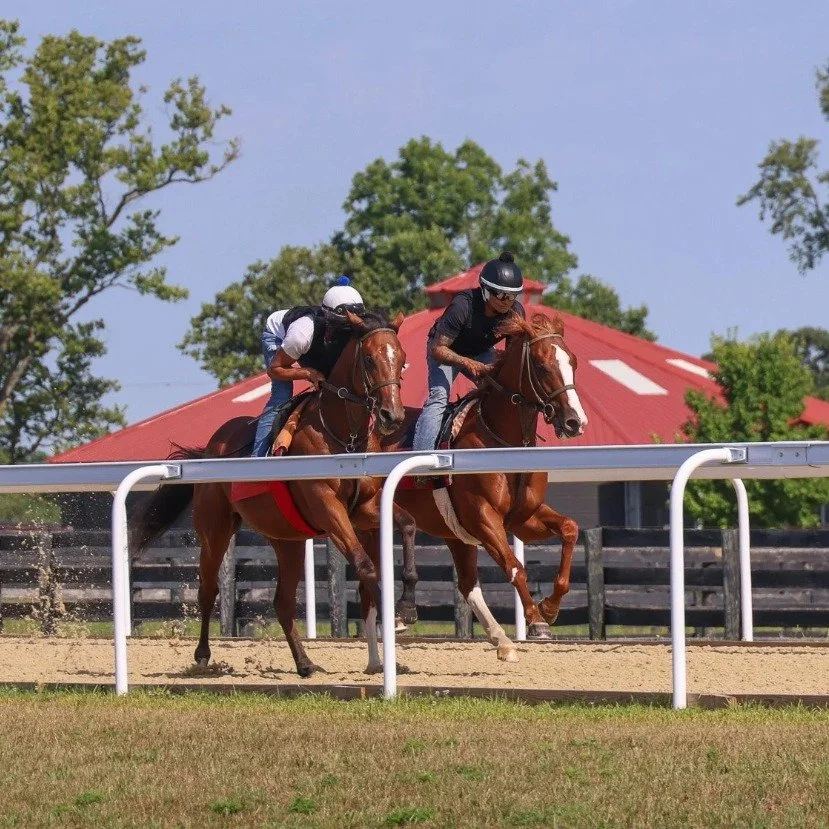 2-year-old sales season is underway! Fast breezes, thousands of inspections, and bids flying signal the arrival of a new crop of young horses stepping into the spotlight. 🐎🌟

Once the excitement of the sale ring settles, the focus shifts to develop