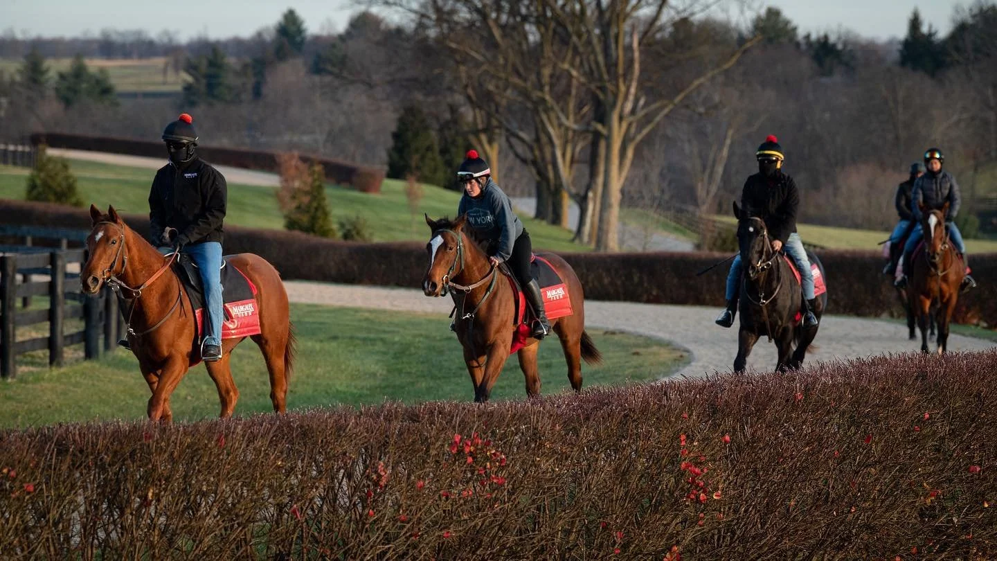 Set on 640 acres just outside Midway, Kentucky, Margaux Farm combines world-class facilities with the quiet setting horses need to train, develop, and recover. 🐎🌿

From three racetracks and starting gates to covered Eurocisers, round pens, and spac