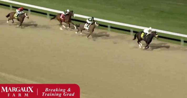 Golden Thread Breaks Maiden at Turfway Park