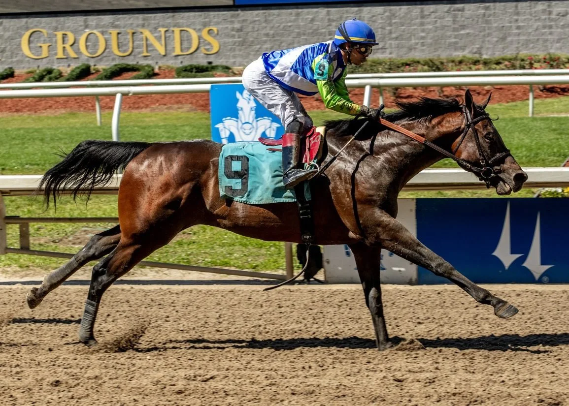 Margaux Farm training graduate Not to Worry made a serious impression on debut! 🏇🏻💥

Lael Stable's homebred Street Sense colt came charging down the Fair Grounds stretch to earn a sharp win and &lsquo;TDN Rising Star&rsquo; honors for trainer Cher