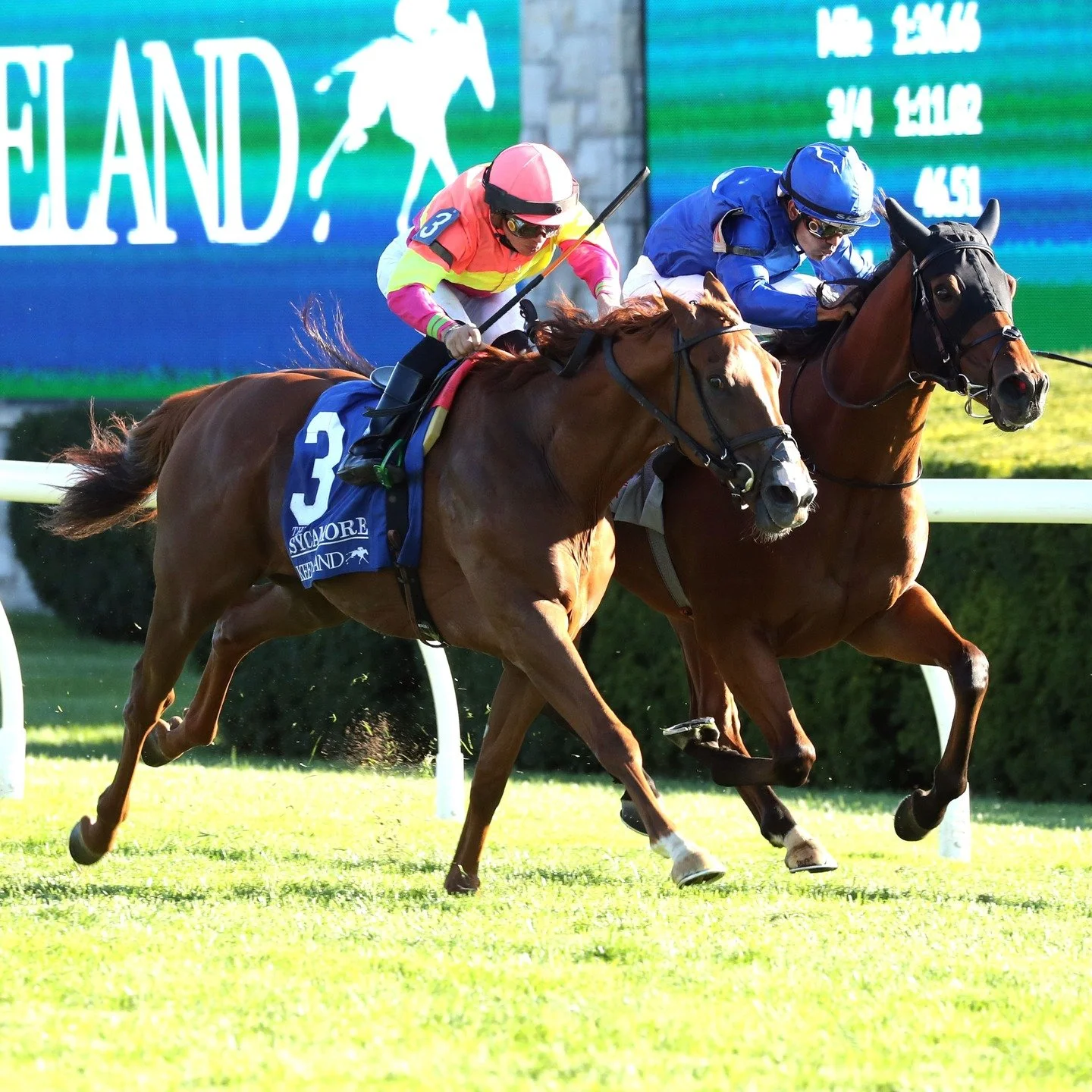 Running headfirst into Keeneland Spring Meet 🌸🐎

Keeneland has been a special place for Margaux over the years, both for our owners, Jim and Sue Hill, and for the many horses who have come through our program.

Wishing all of our owners, partners, 
