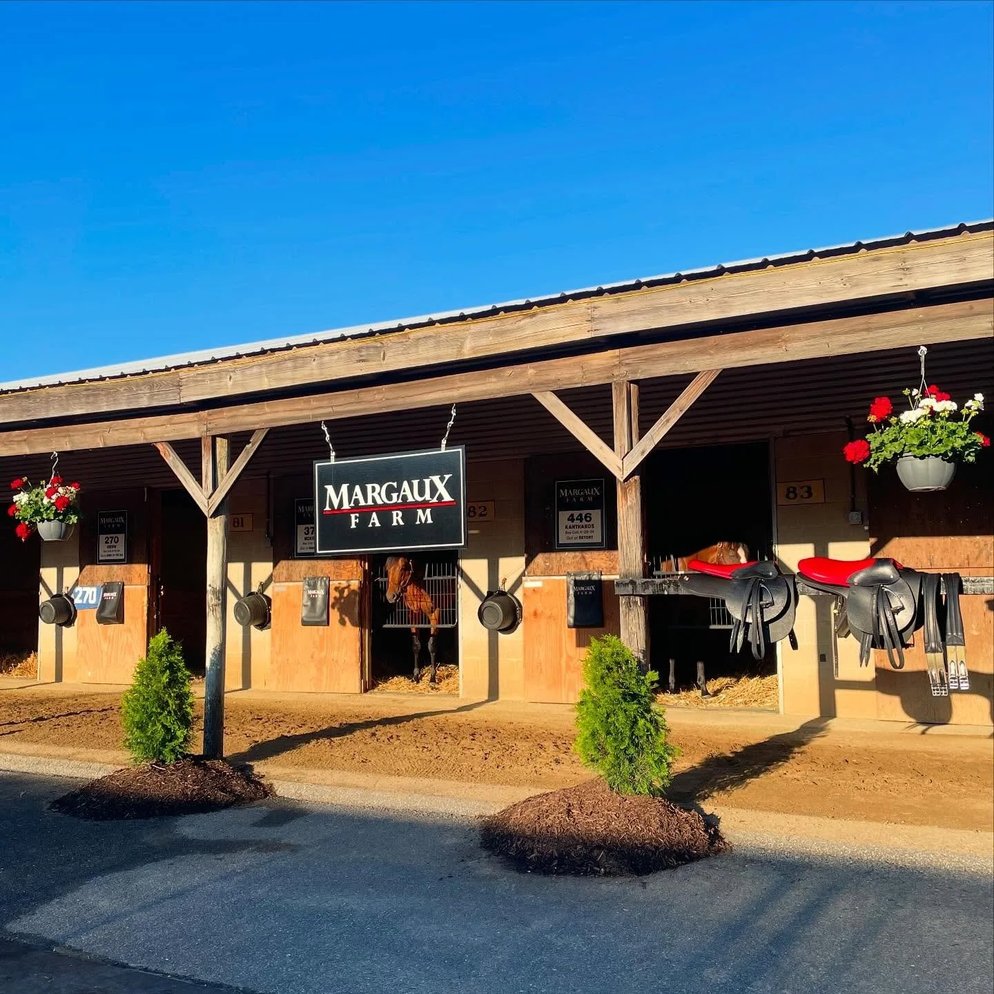 Under tack show loading&hellip; 🏇🏻💨

Come see us in Barn I!