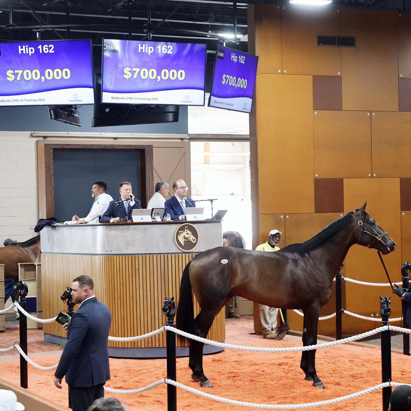 An incredible result for Hip 162, Chara, who sold for $700,000 to Case Clay Thoroughbred Management at the Fasig-Tipton Midlantic Sale.

Bred by Anderson Farms, the NYQUIST colt out of Disobedient turned heads all week, and we&rsquo;re proud to have 