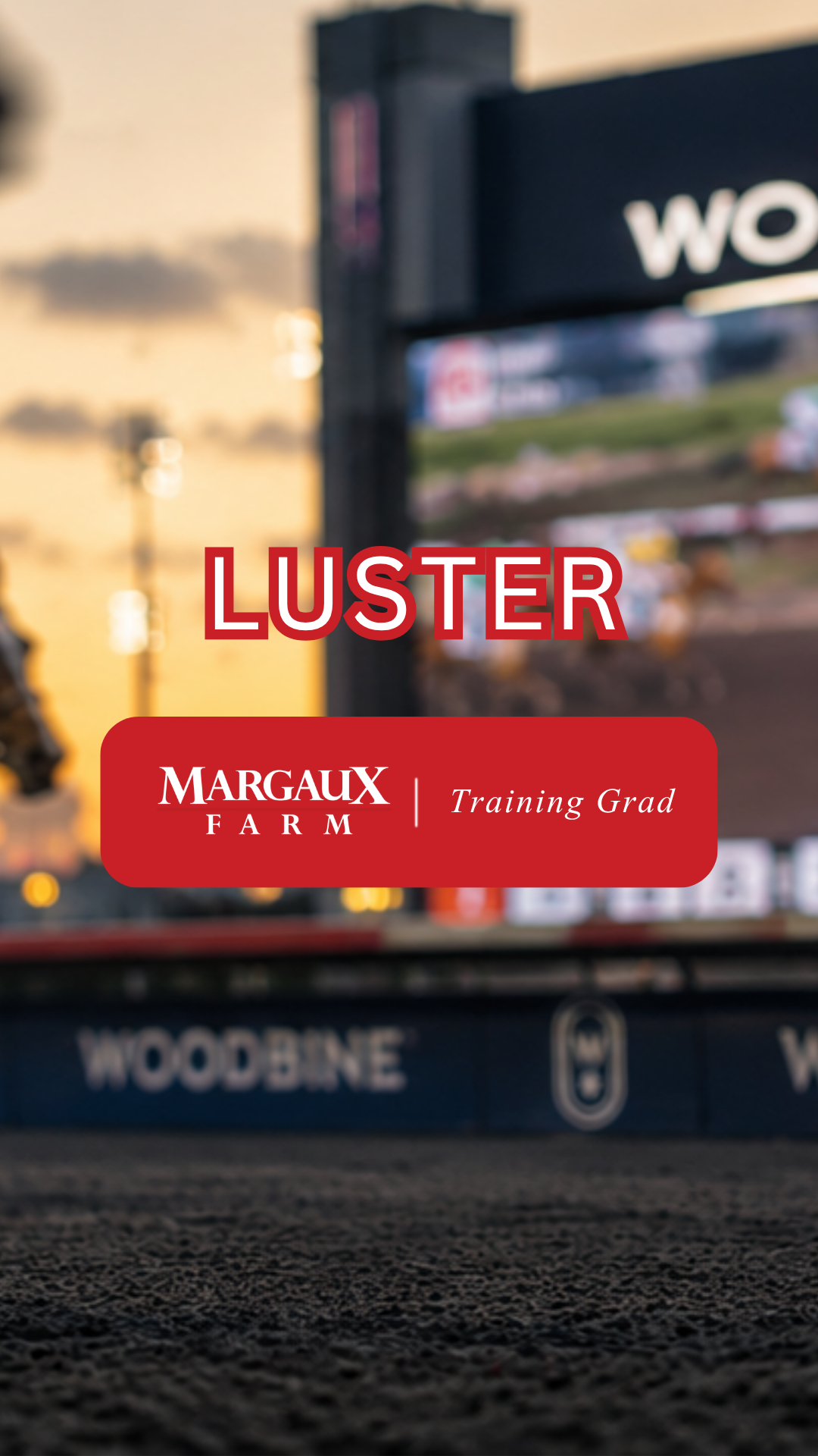 Luster Earns First Graded Stakes Victory in G3 Selene Stakes