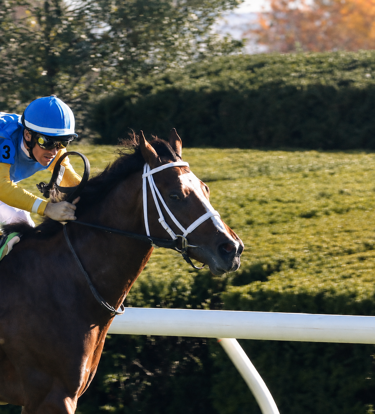 Multiple Graded Stakes Winner Andthewinneris Adds to Winning Résumé at Ellis Park