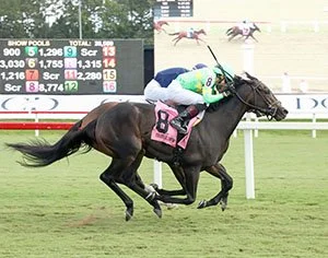 Storm's Wake Captures $250,000 Old Dominion Oaks at Colonial Downs
