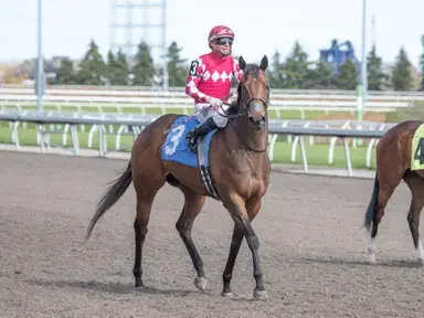Charmingly Evasive Scores Second Consecutive Victory at Woodbine