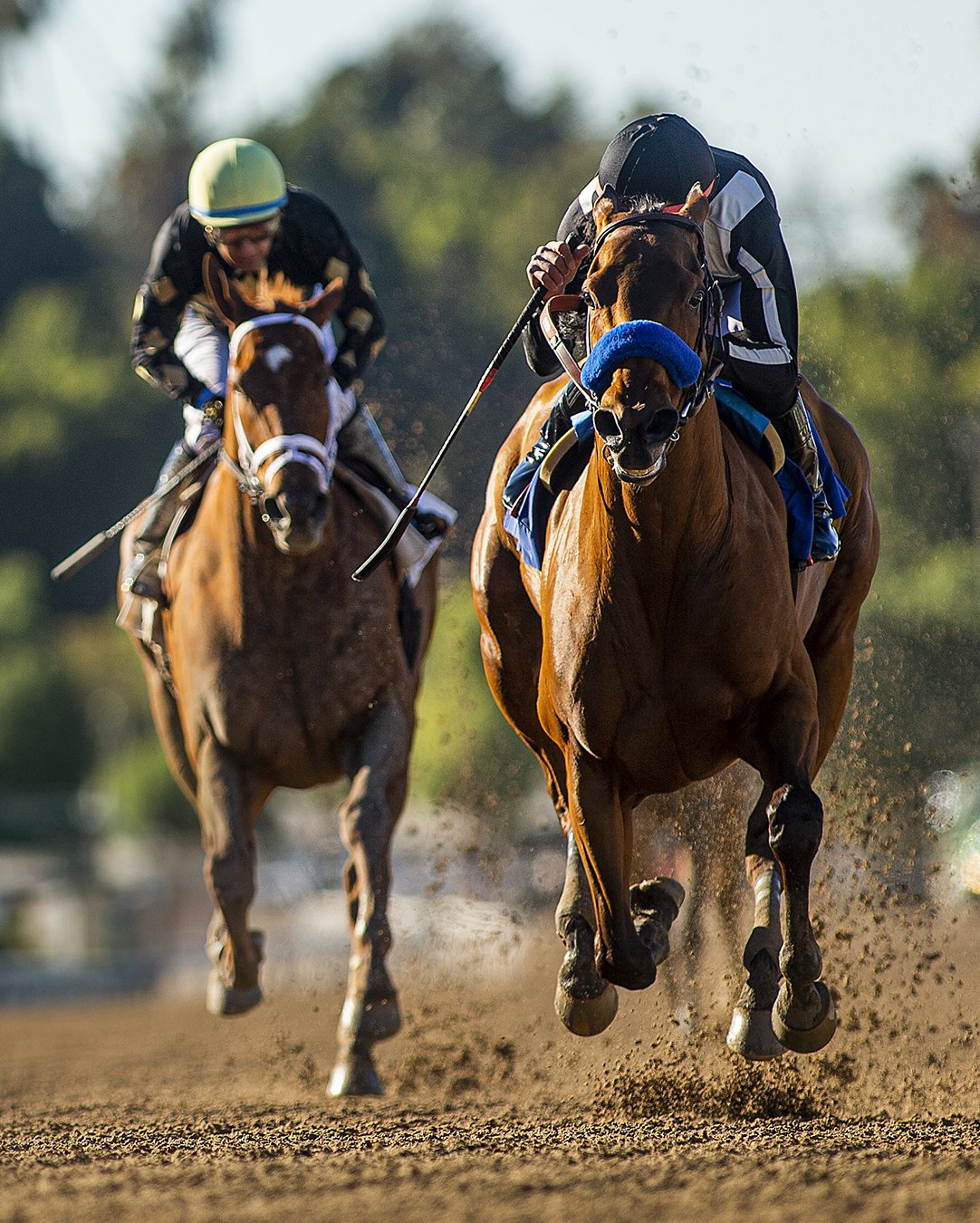 Merneith Takes Back To Back Editions Of Santa Monica S — Margaux Farm 