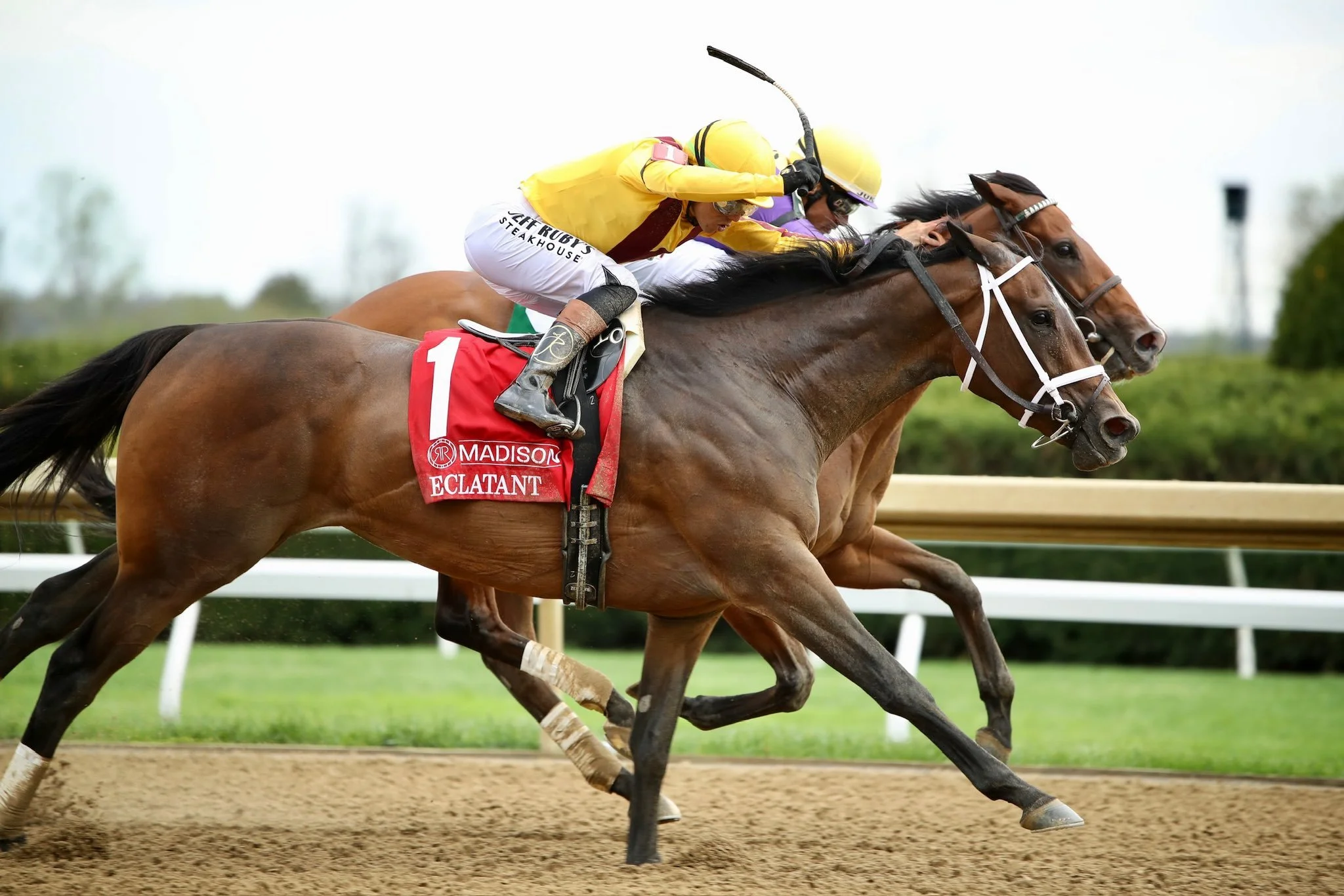 Eclactant Madison Win Photo Credit: Keeneland Racing