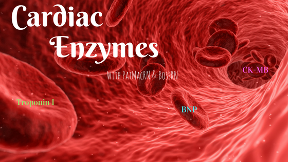 MOTH Cardiac Enzymes Picture.png