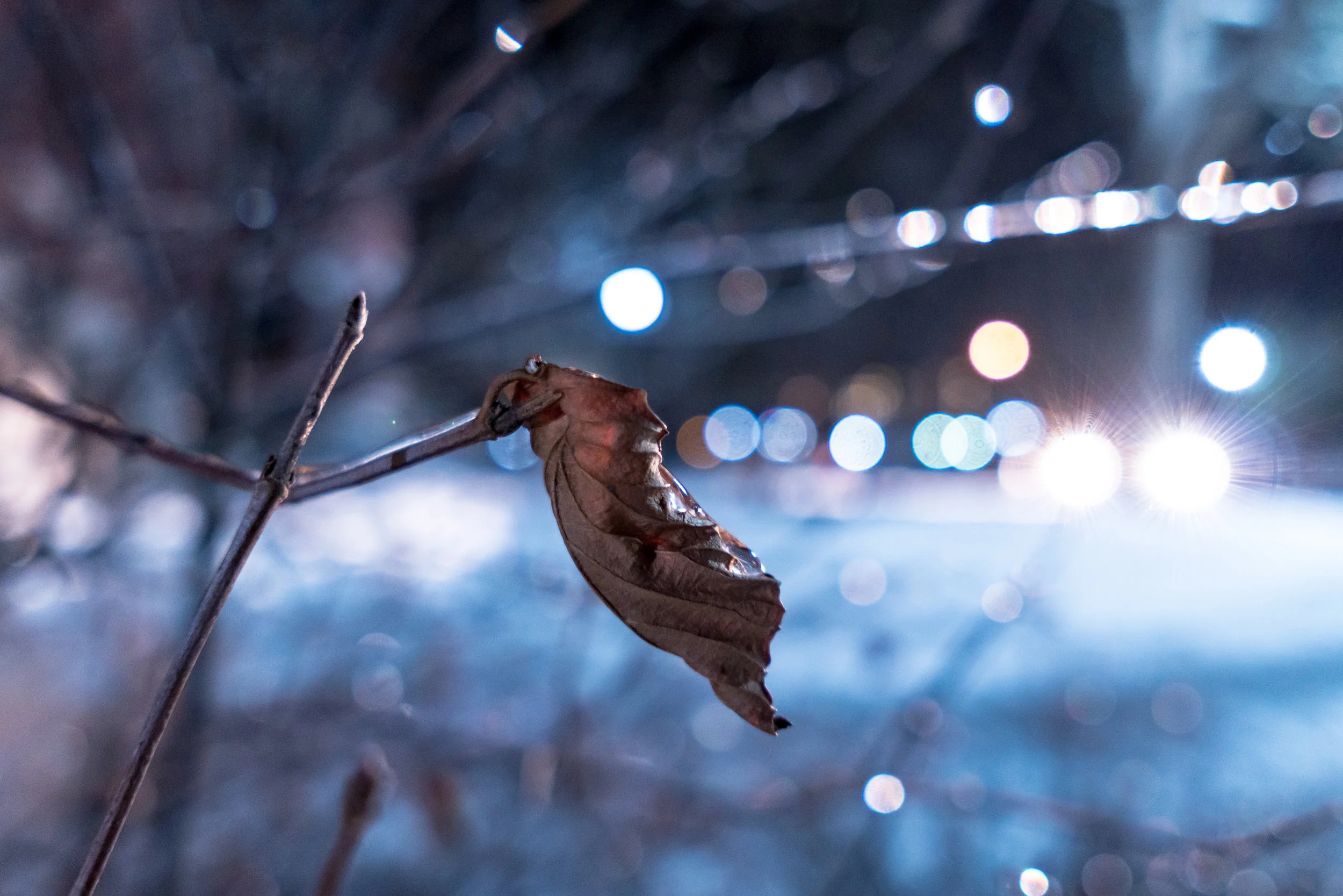 March 30, 2018 Campus Night Pictures