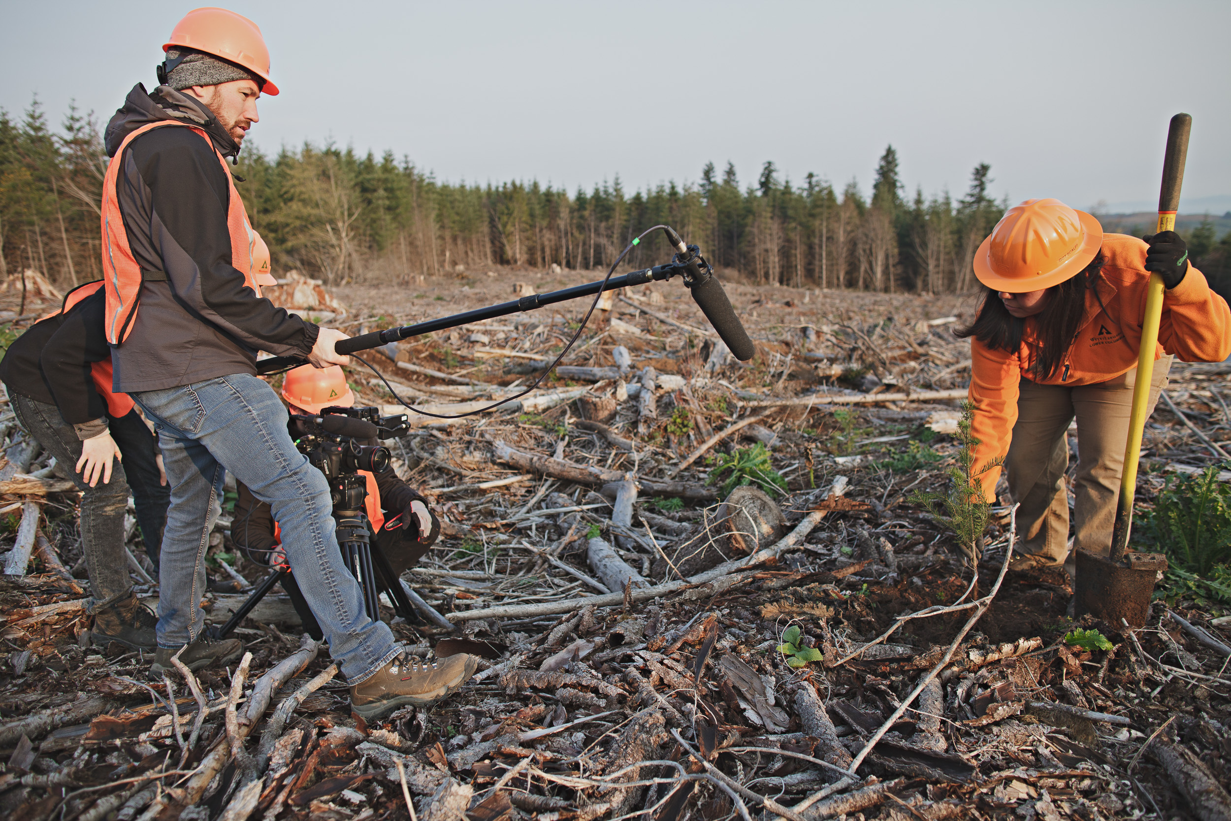 Weyerhaeuser_Video_Production_Still_1.jpg