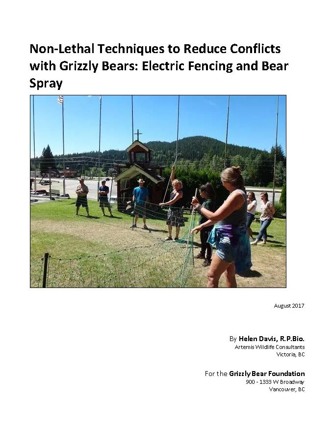 AWC_nonlethal_conflict_strategies_report_Sept_4_Page_01.jpg