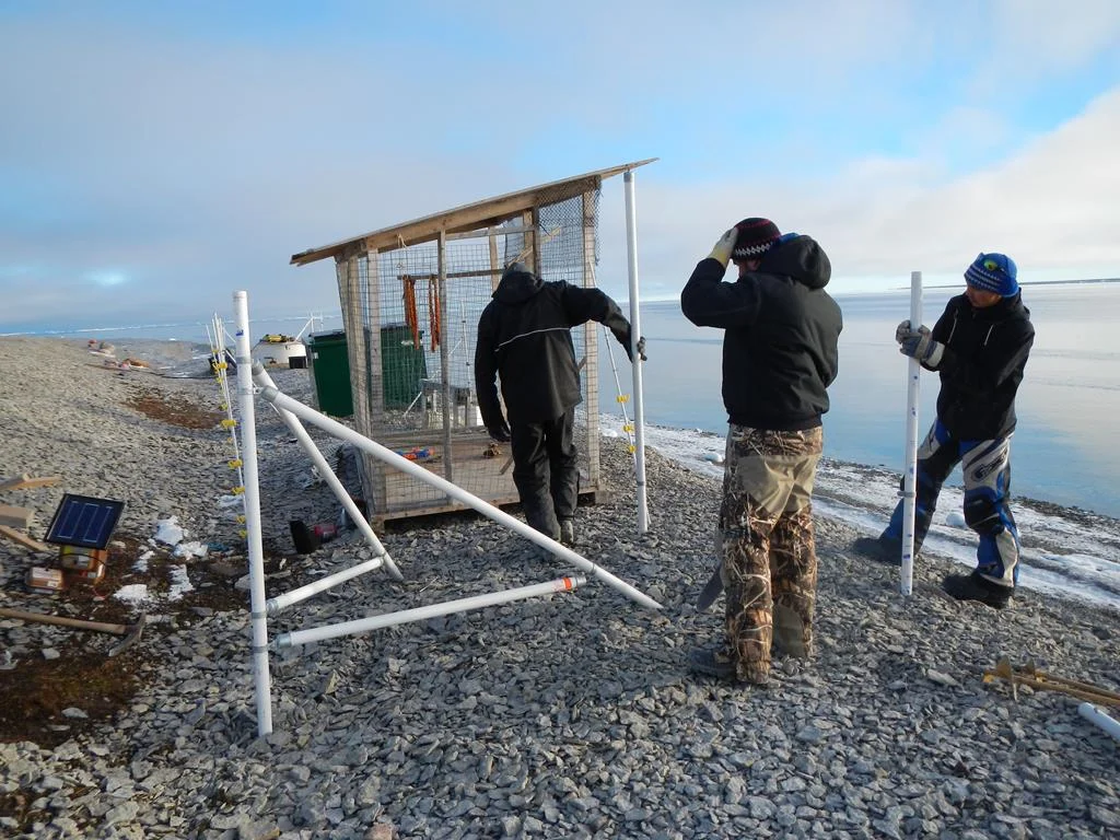 2013 10 10_Fence at Koverk's_0064.JPG