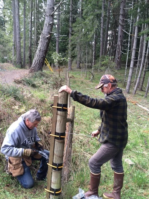 Jeff Marley and a volunteer installing the fence