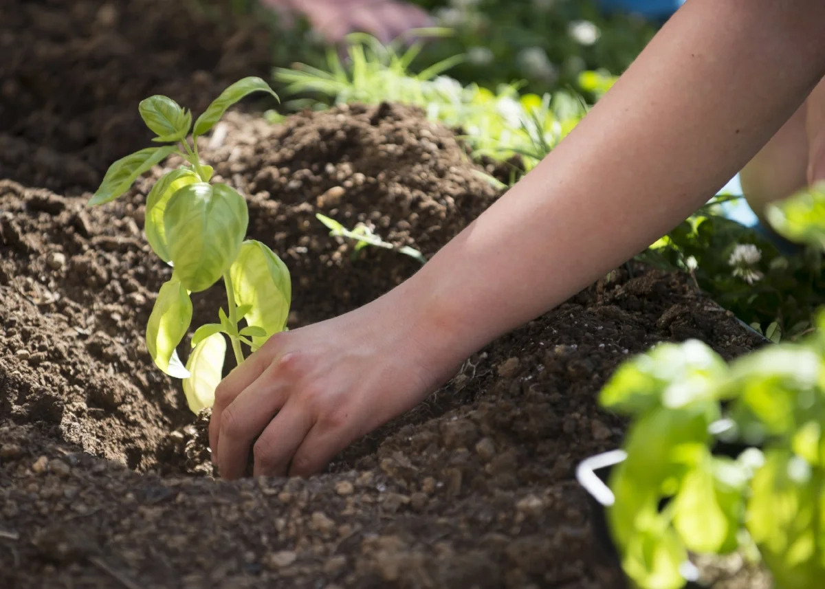 Home — we grow HOPE