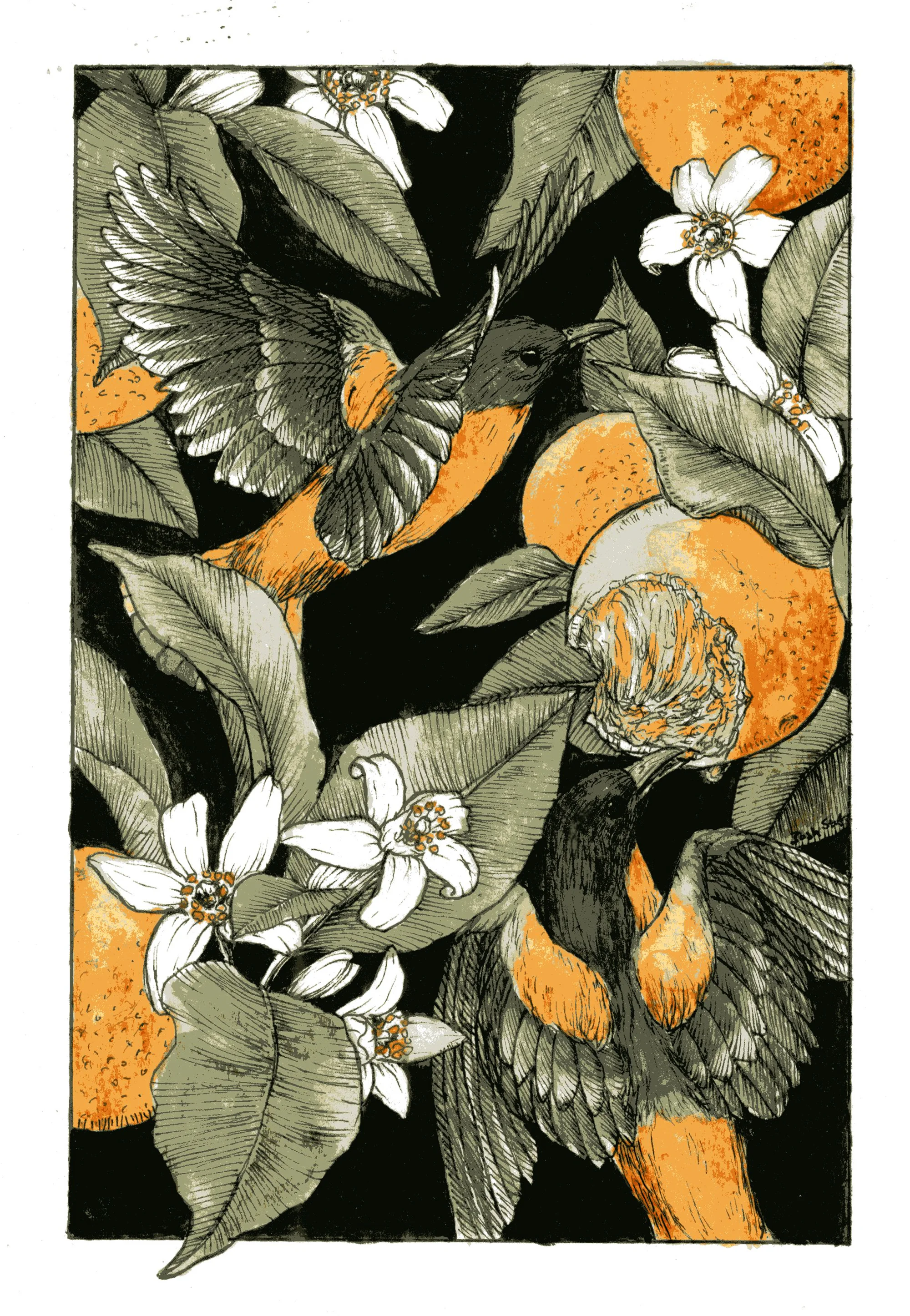 Oriole Feast