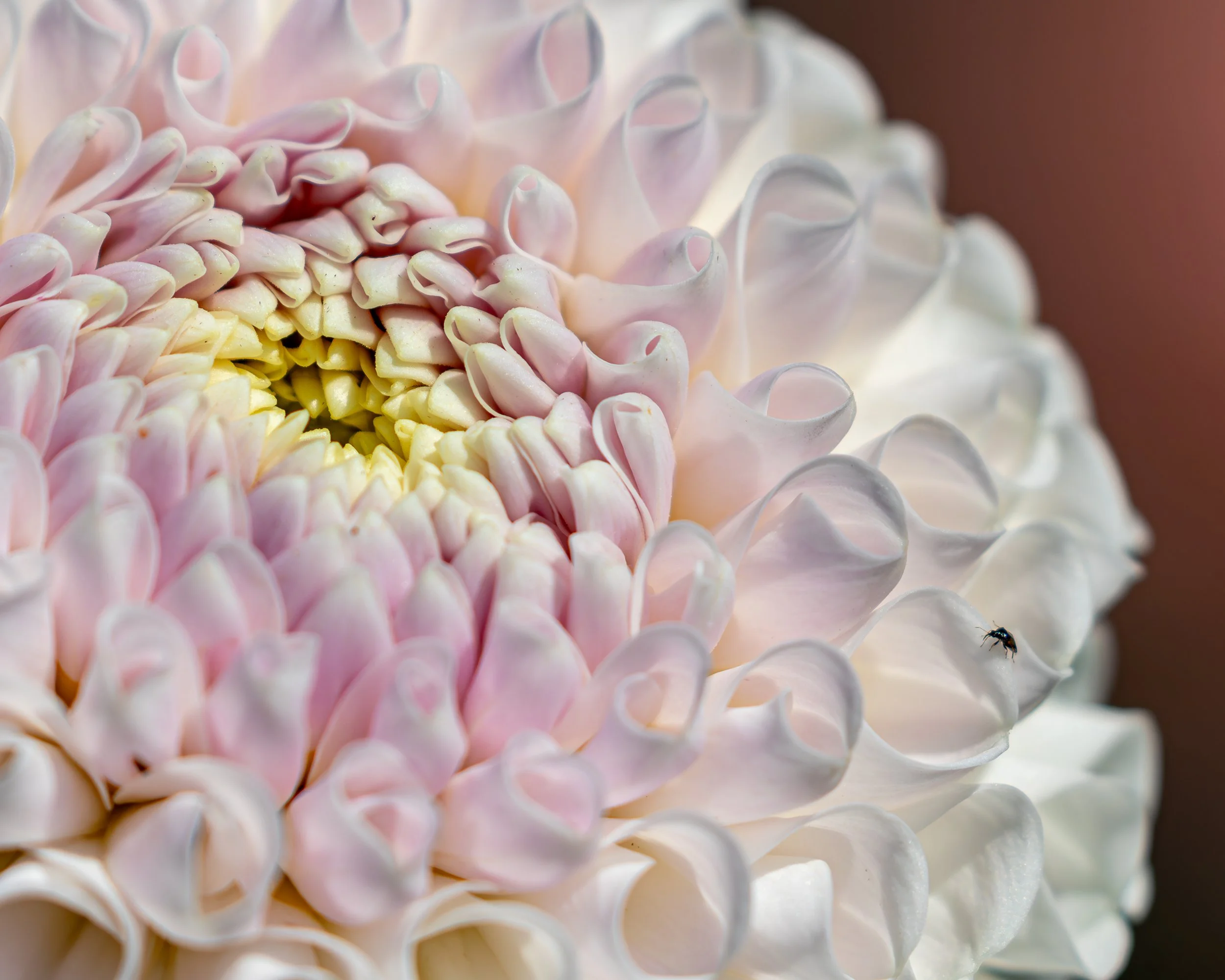 Closer than the eye - 03.jpg