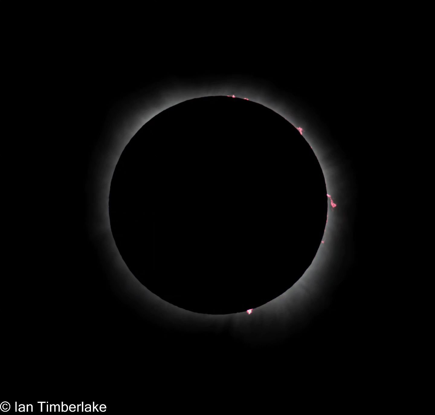 Totality!! I love how active the solar prominences were and it's pretty cool seeing the subtle mountain ridges around the Moon. We had some serious luck with open skies smashed between hours of overcast rain. 

#totalsolareclipse #totalsolareclipse20