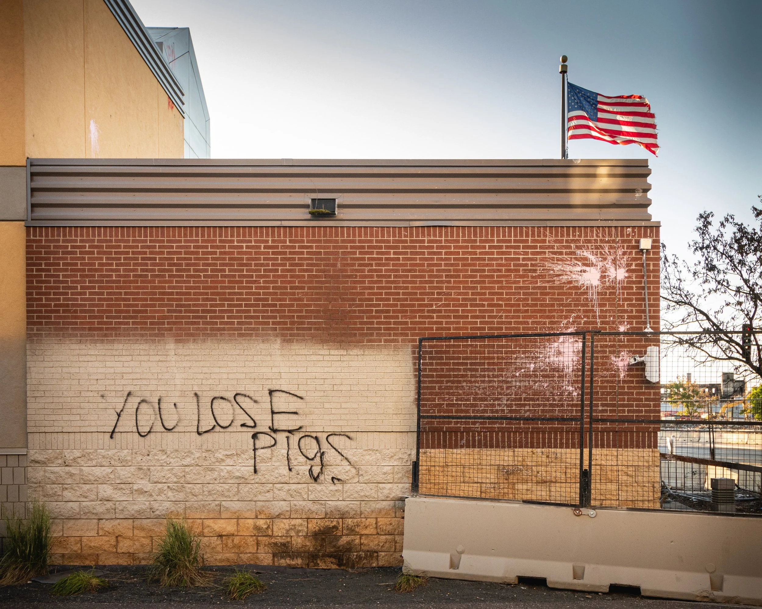 You Lose - Pigs