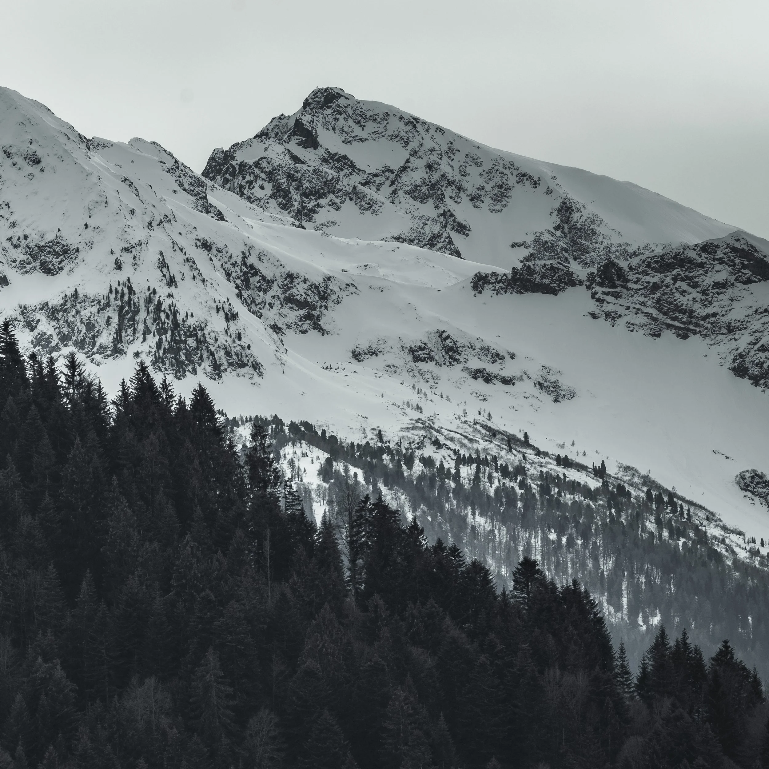Landscape-05.jpg