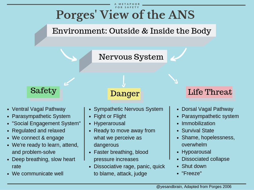 Circus As A Healing Art What Polyvagal Theory Teaches Us About Why Circus Works Yes And Brain