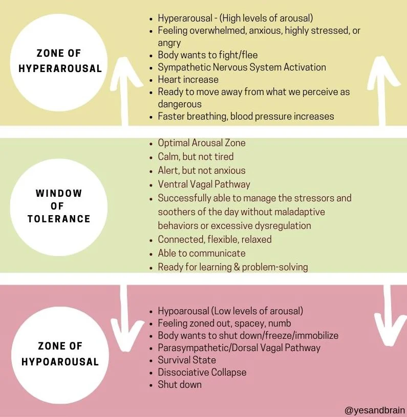 The Window Of Tolerance A Psychophysiological Guide To Expanding Your Capacity As A Circus Artist And Person Part I Yes And Brain