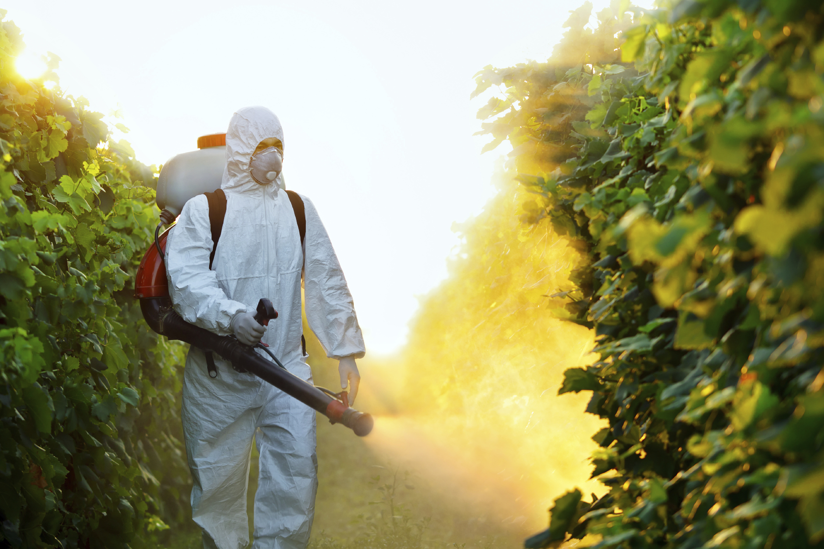 Obremenitvah s težkimi kovinami, pesticidi, fungicidi in okoljskimi toksini