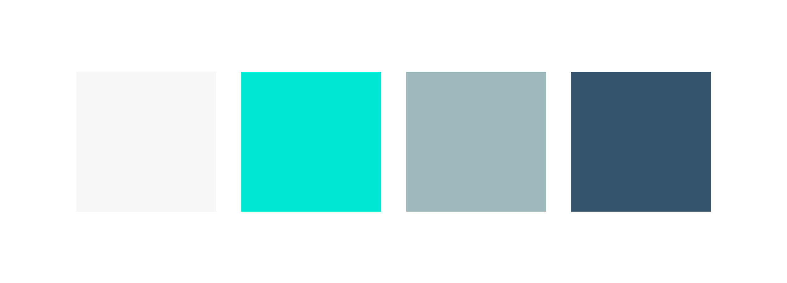 COLOR-PALETTE.png