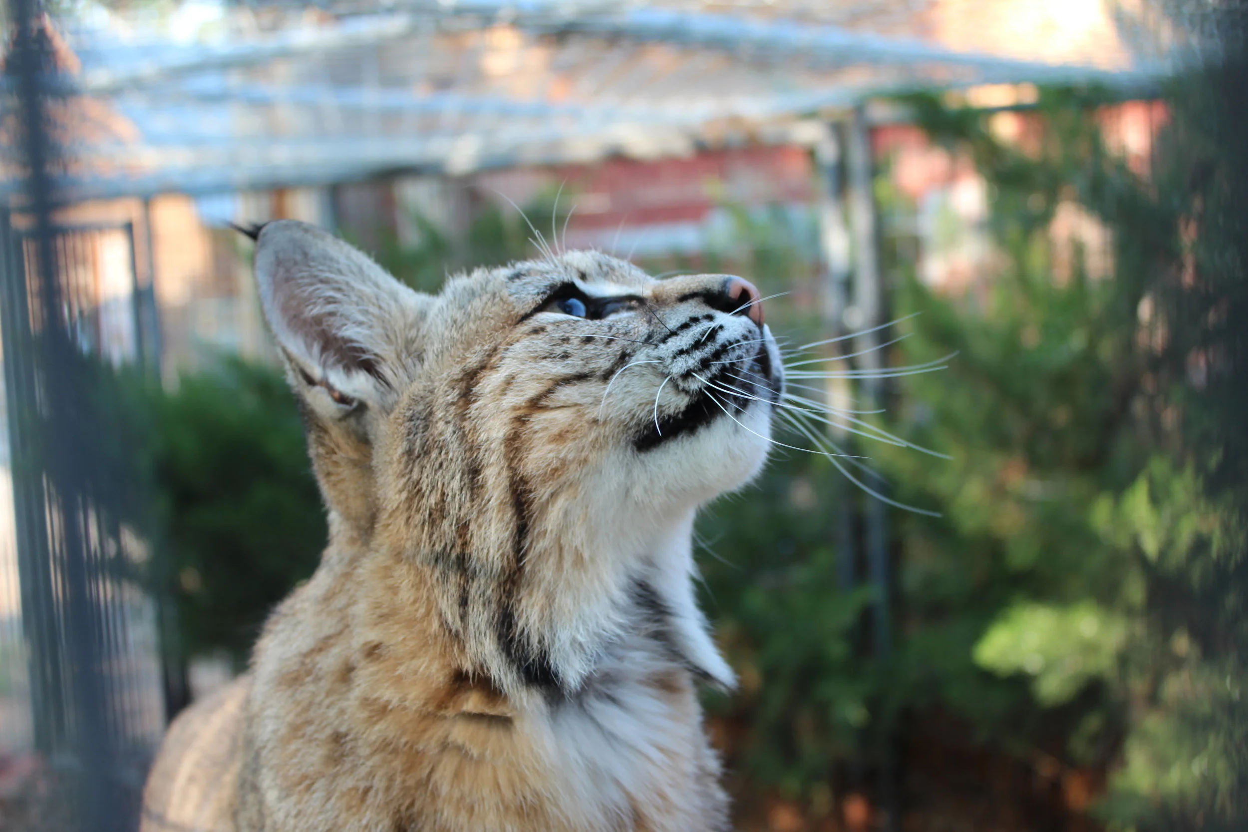 PSSWF Annual Open House