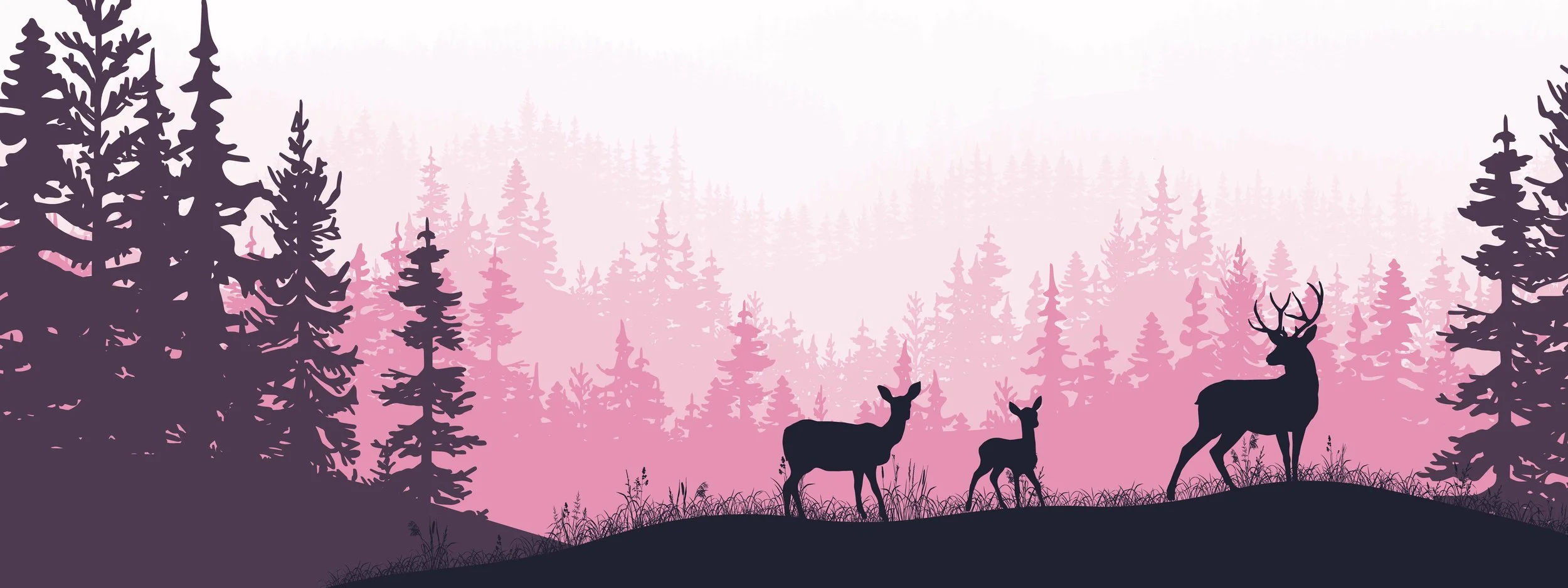 On the Wild Side: Spring 2025