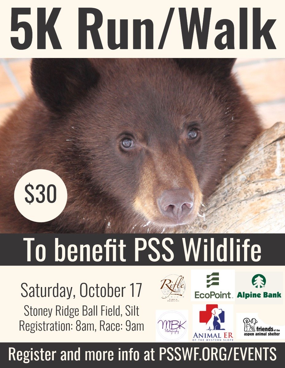 19th Annual 5K Run/Walk For Their Lives