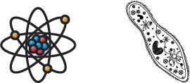 atom and paramecium.png