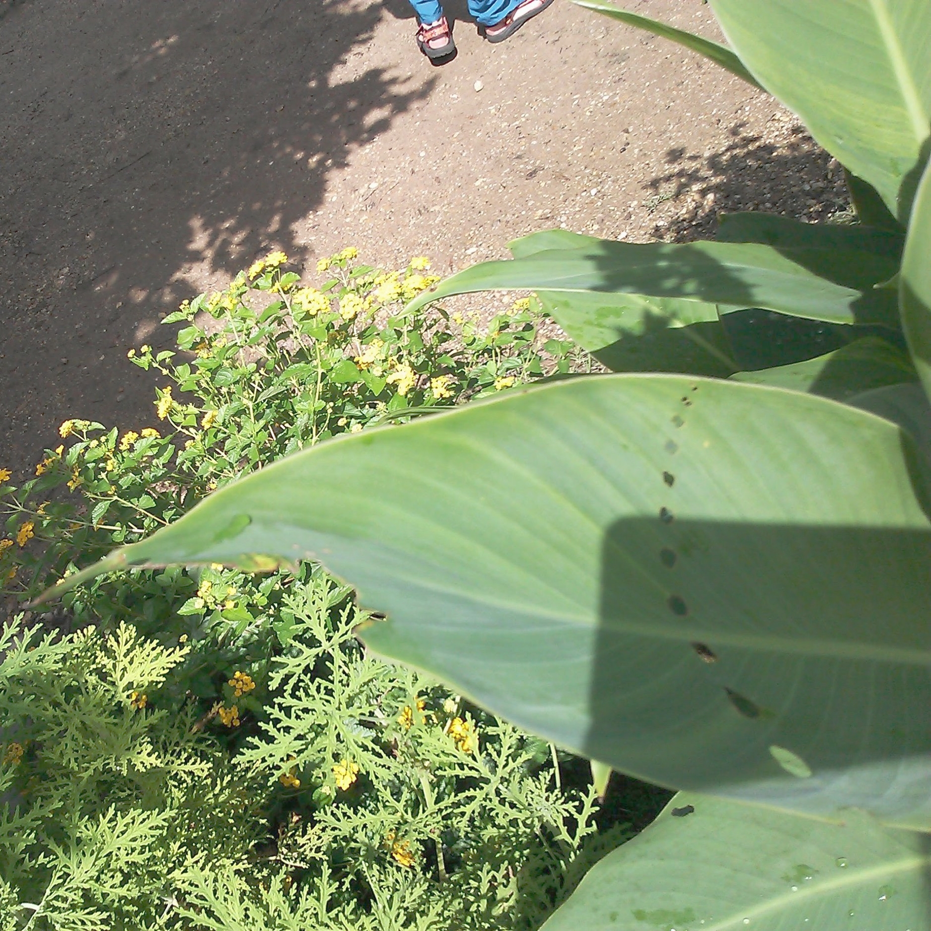 CAM00221.jpg