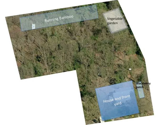 1.8 Acres in Maryland: The beginning (Jan 2017)