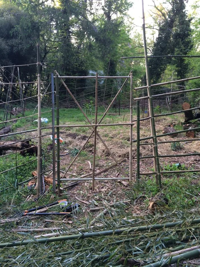 1.8 Acres in Maryland (II): Uses for Bamboo (March 2017)