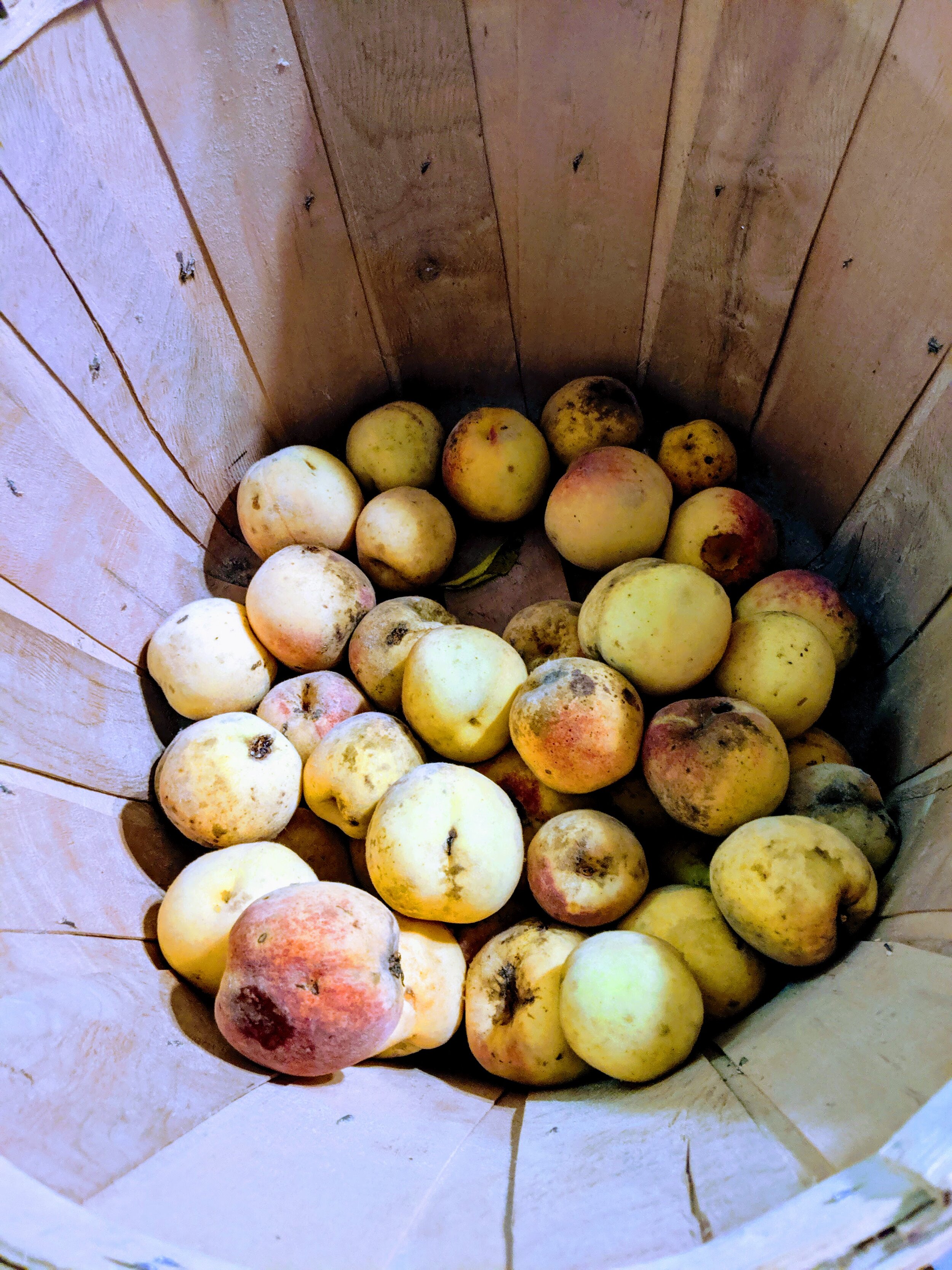 Peaches
