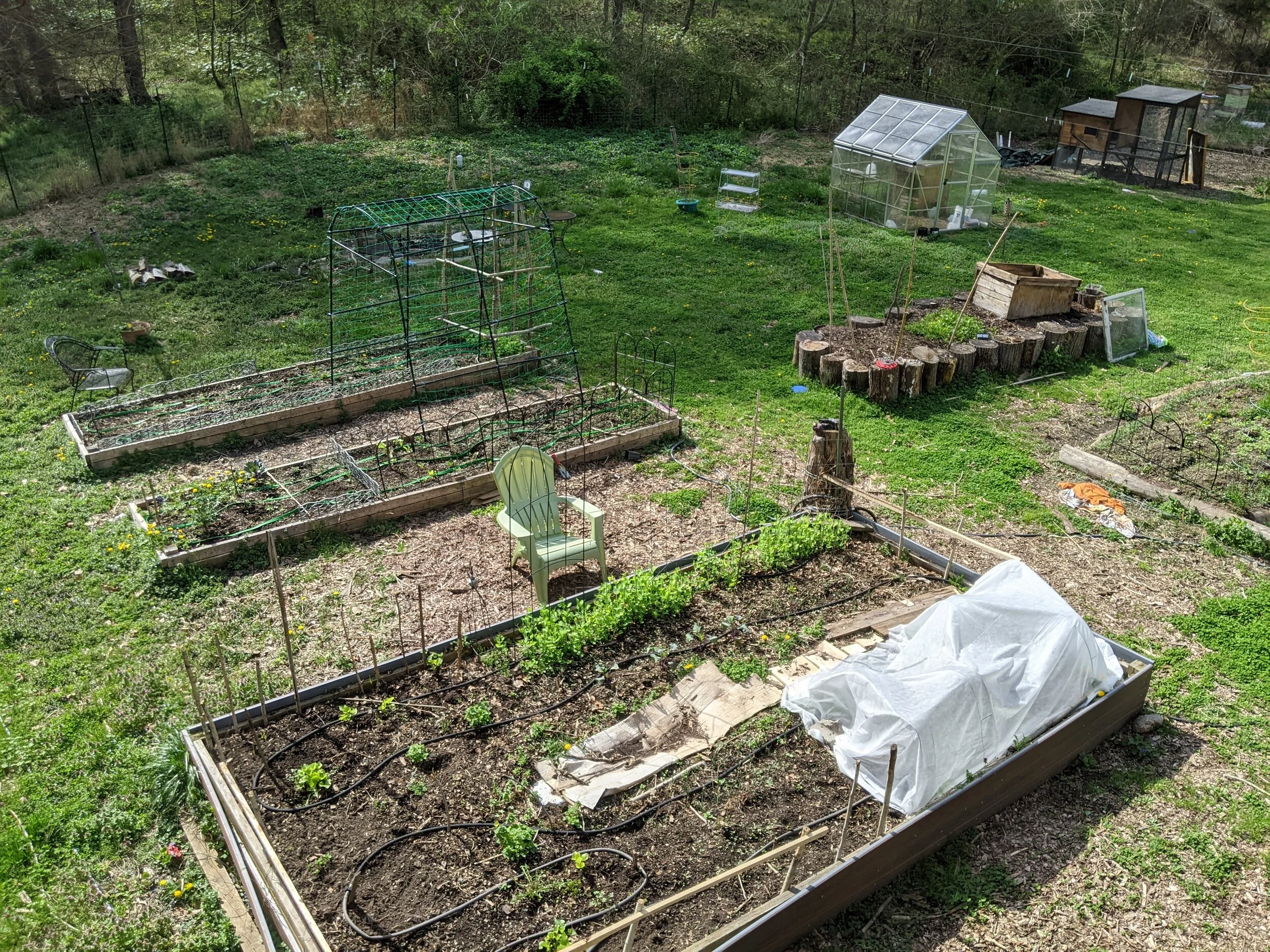 Starting the 2021 Garden