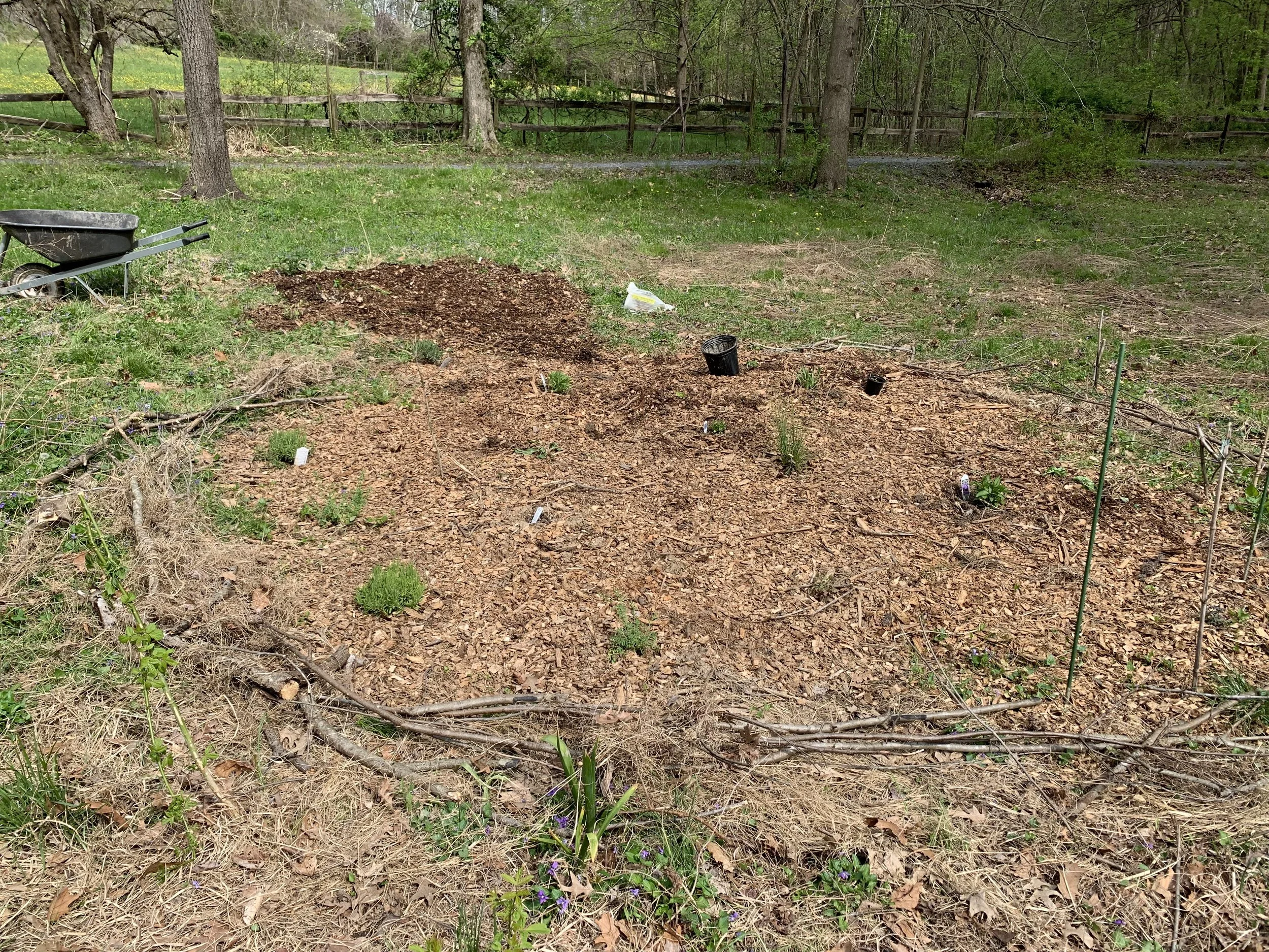 A New Butterfly Garden